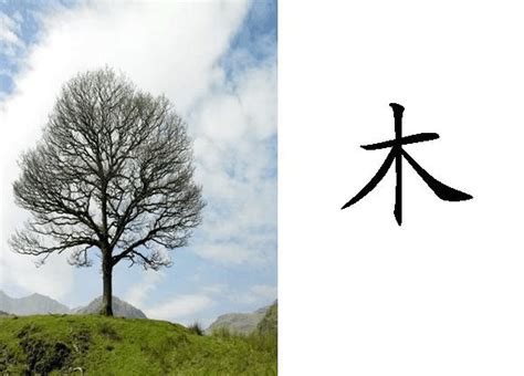 木有什麼字